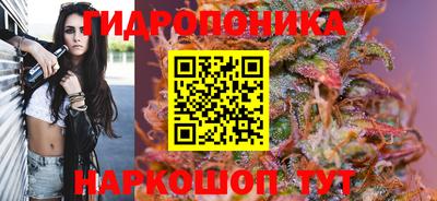 дмт Севастополь