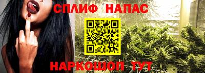 a pvp Свободный