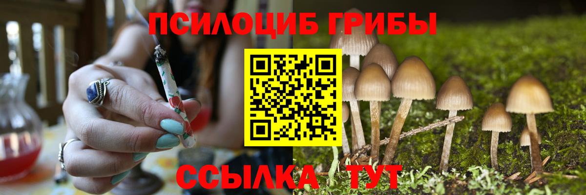 Галлюциногенные грибы Cubensis Самара