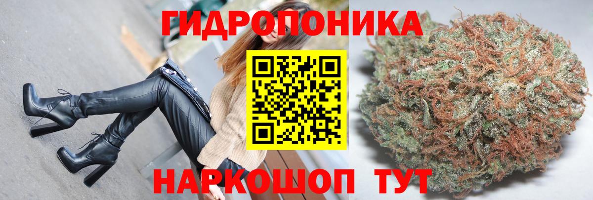 Каннабис сатива Самара